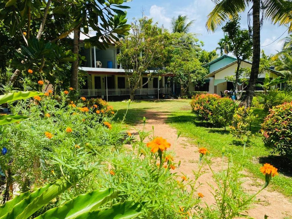 Coconut Grove - Midigama Hotel ภายนอก รูปภาพ