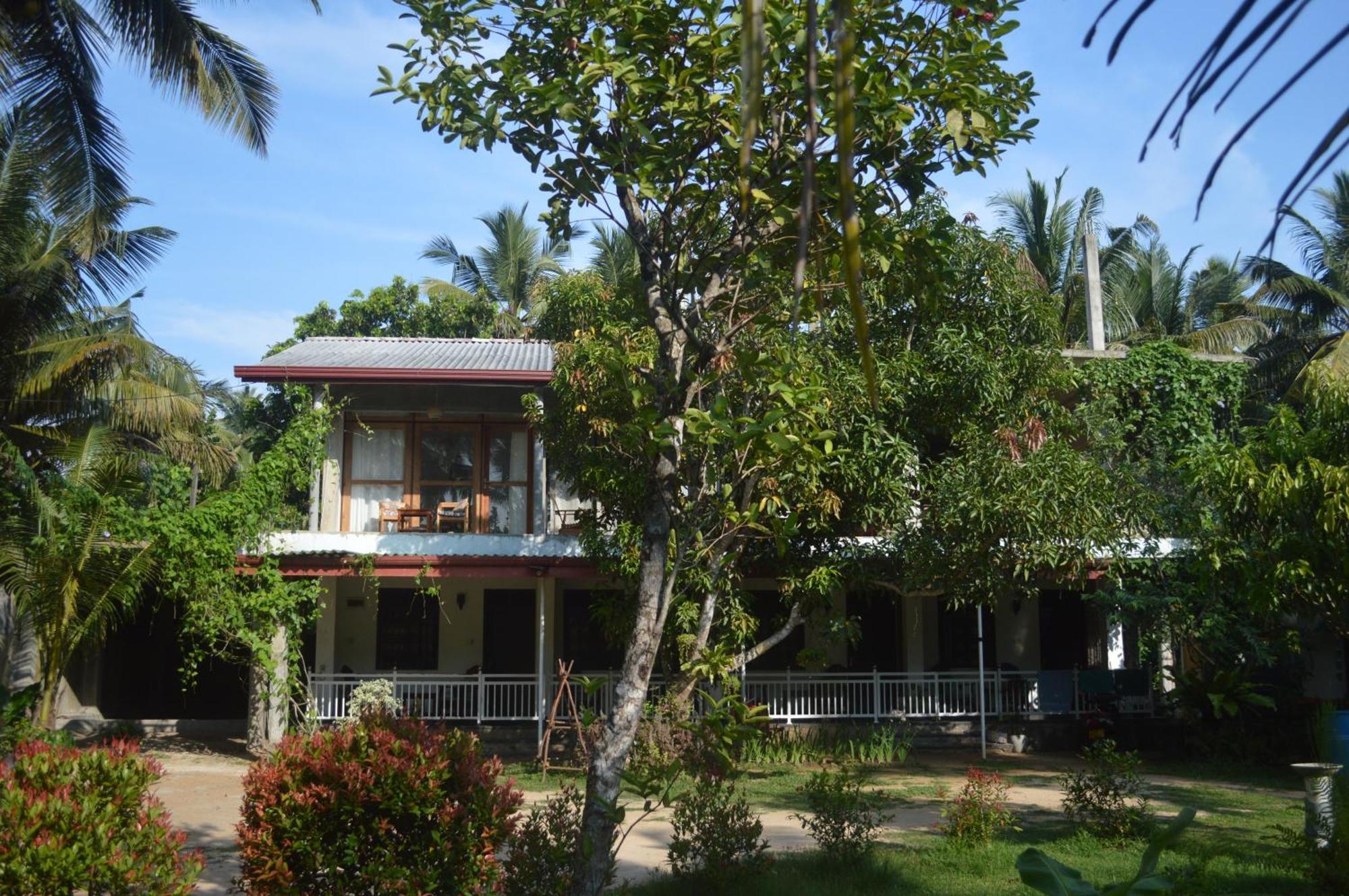 Coconut Grove - Midigama Hotel ภายนอก รูปภาพ