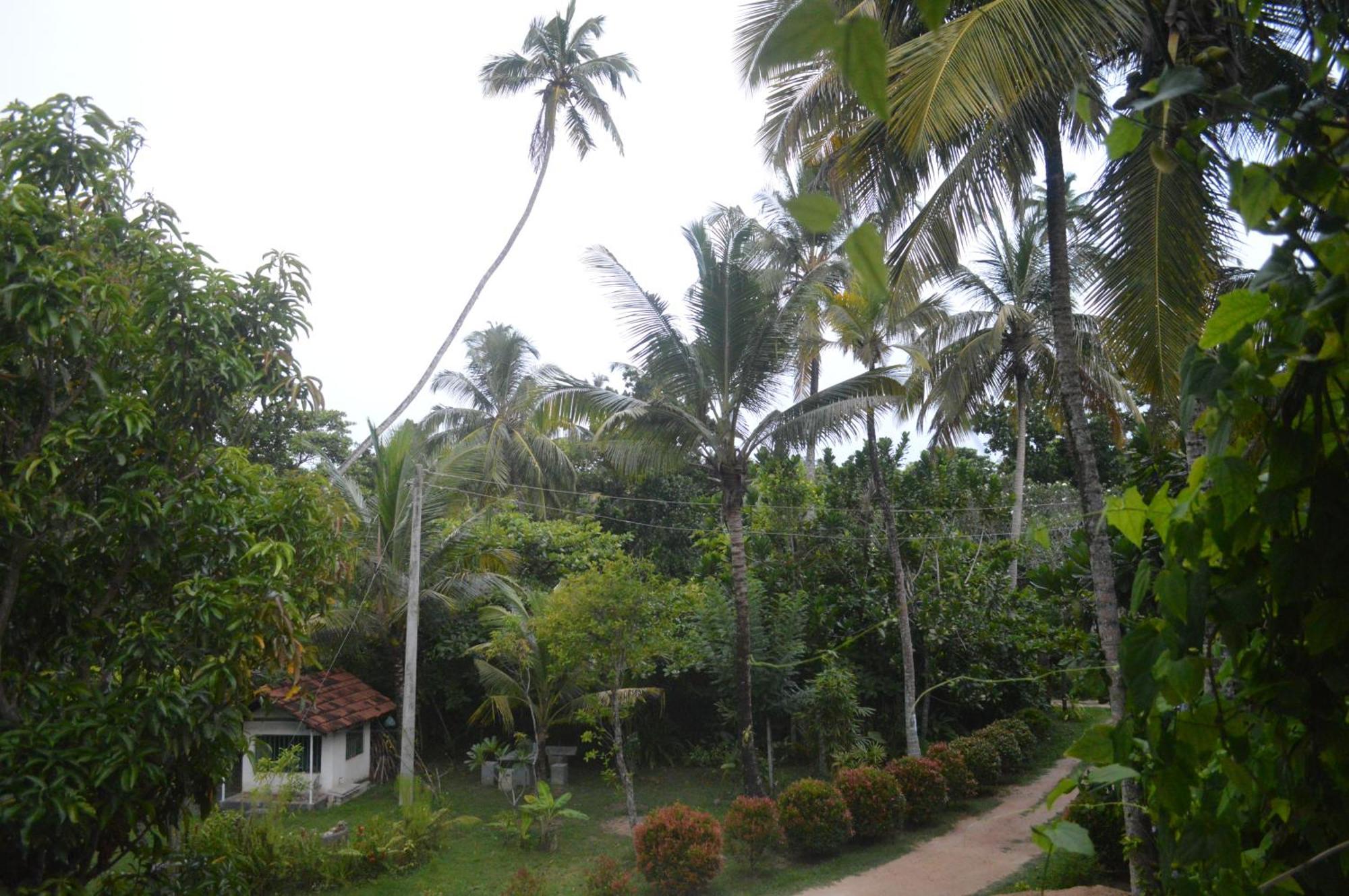 Coconut Grove - Midigama Hotel ภายนอก รูปภาพ