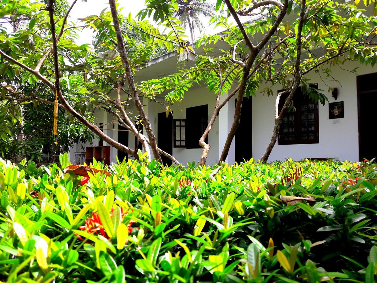 Coconut Grove - Midigama Hotel ภายนอก รูปภาพ